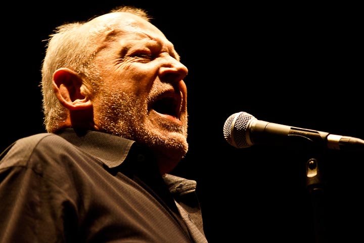 Joe Cocker