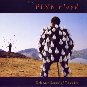 Pink_Floyd-Delicate_Sound_Of_Thunder-Frontal