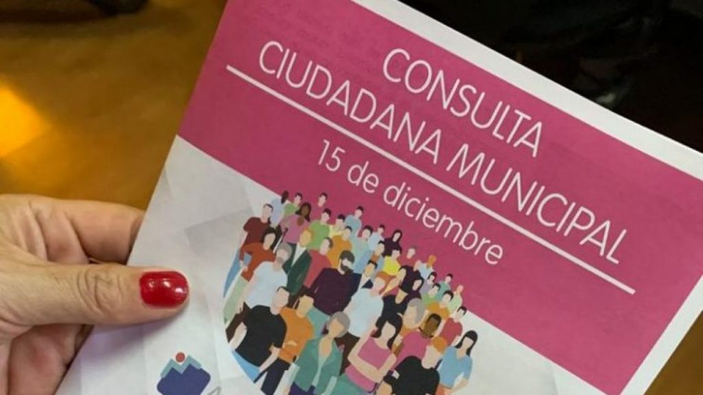 consulta ciudadana