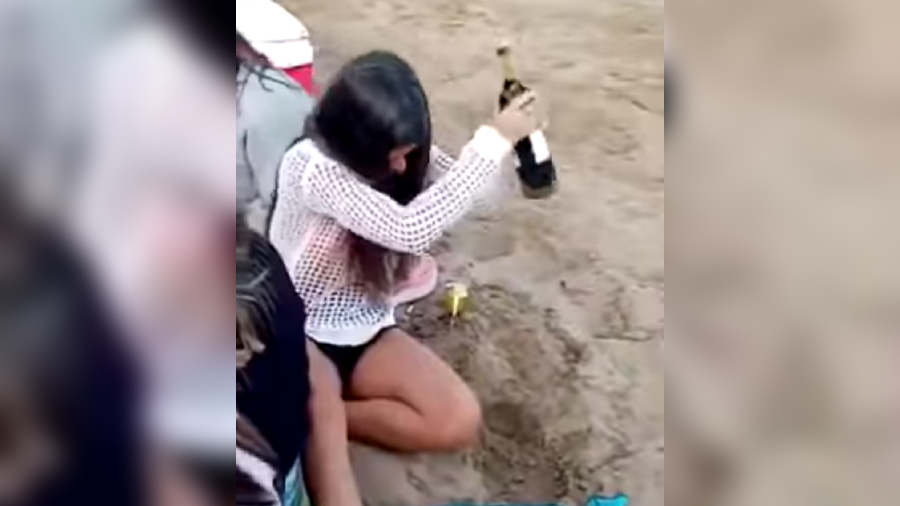 Botella de vino sacacorchos