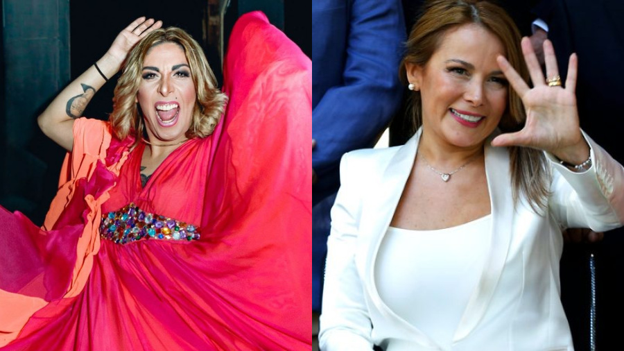 Botota Fox Cathy Barriga web