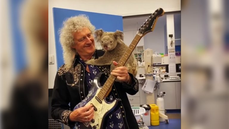 Brian May Koala Australia Guitarra