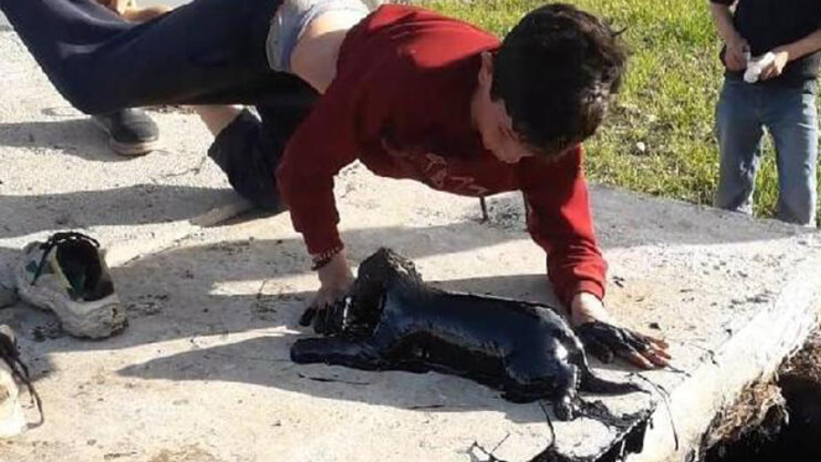 Niño perrito petroleo