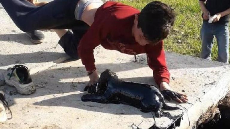 Niño perrito petroleo