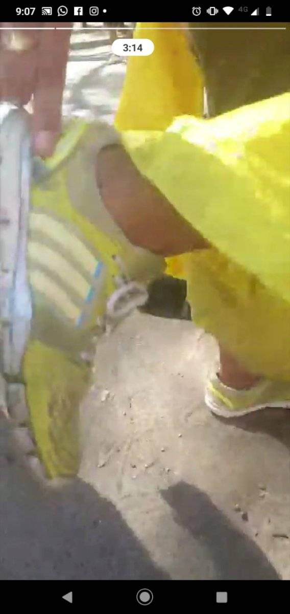 Perdigón Tía Pikachu