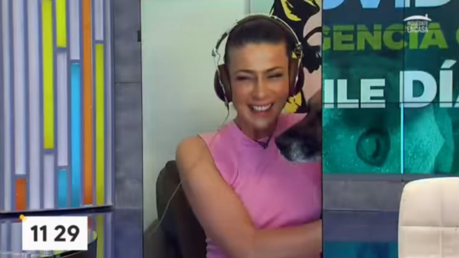 Tonka perrita bienvenidos web