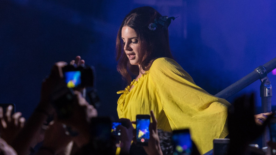 Lana del Rey abuso web