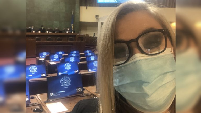 Pamela Jiles minsal web