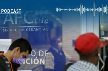 MSOD Ley de protección al empleo