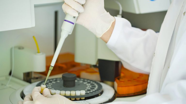 científicos virus influenza porcina