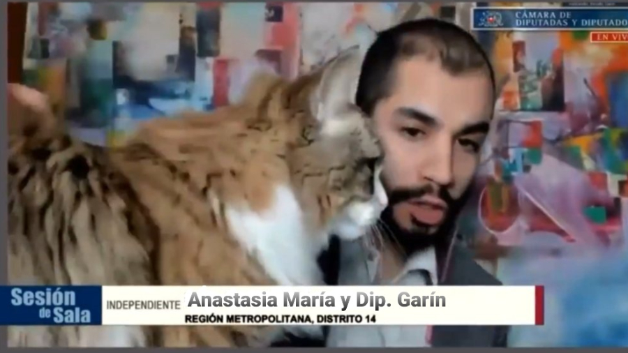 Renato garín y su gata