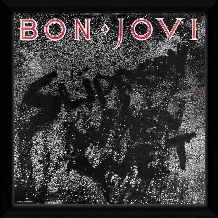 bon jovi