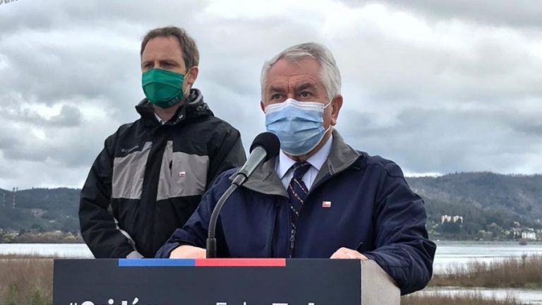 13 de agosto covid-19 ministro paris región Biobío web