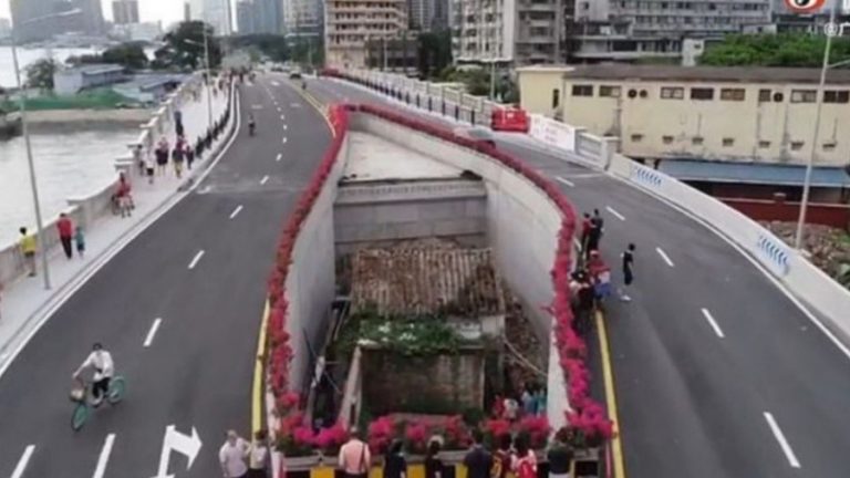 casa en medio de la carretera web