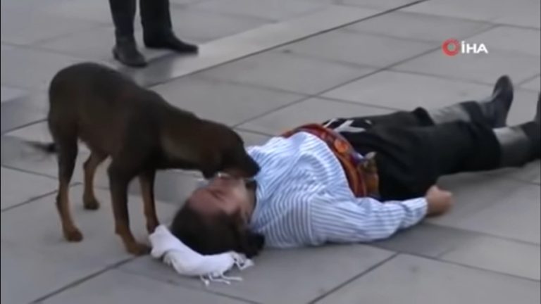 Perrita obra de teatro