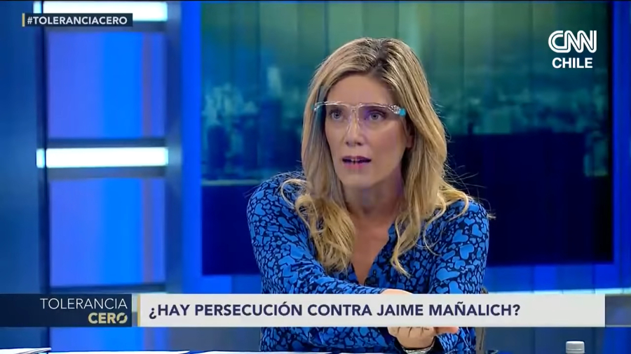 Mónica rincón diputado