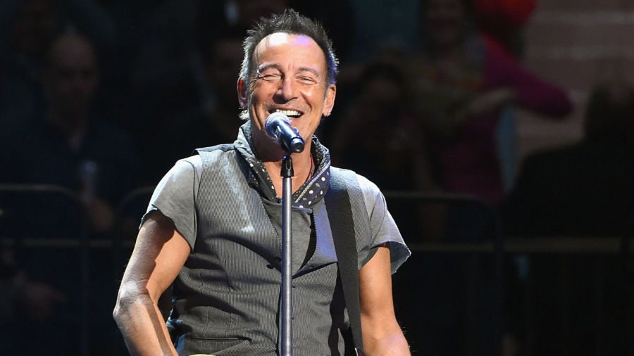 Bruce Springsteen record web