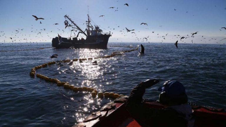 Ley de pesca barcos pesqueros web