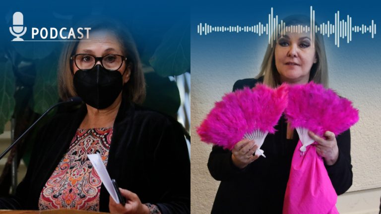 MSOD Adriana Muñoz Pamela Jiles web