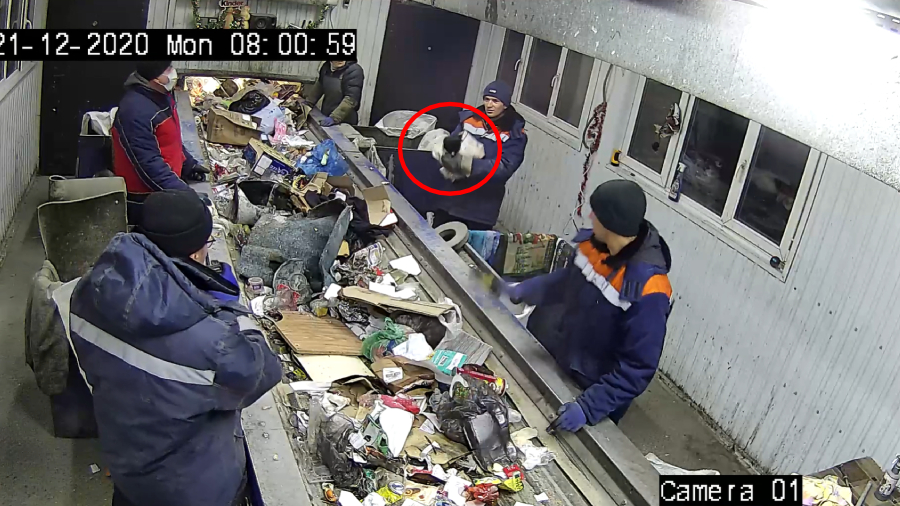 Hombre salva a gatito de la basura