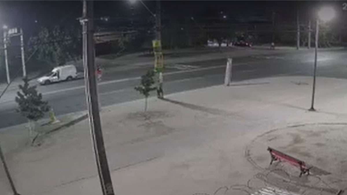 Carabinero Portonazo 2