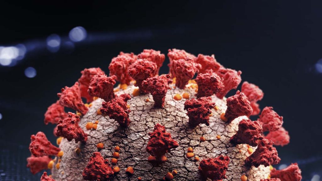 Covid-19 coronavirus variante de Nueva York