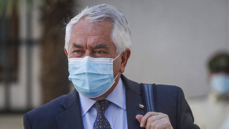 Covid Cepa Brasileña