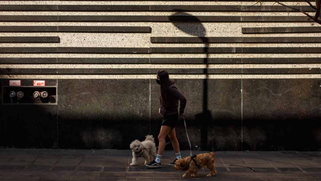 Cuarentena paso a paso