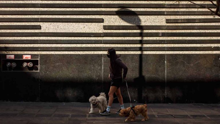 Cuarentena paso a paso