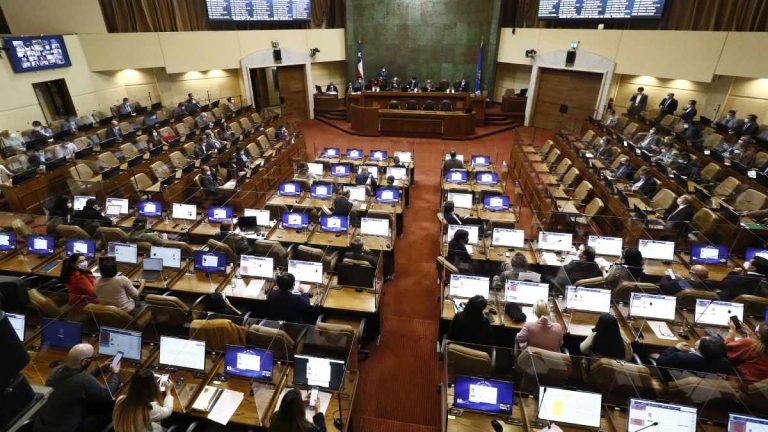 Camara Diputados Postnatal De Emergencia