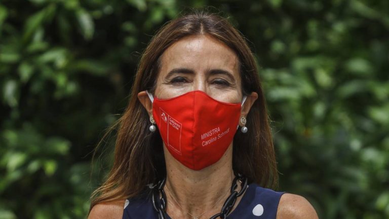 Ministra Del Medio Ambiente