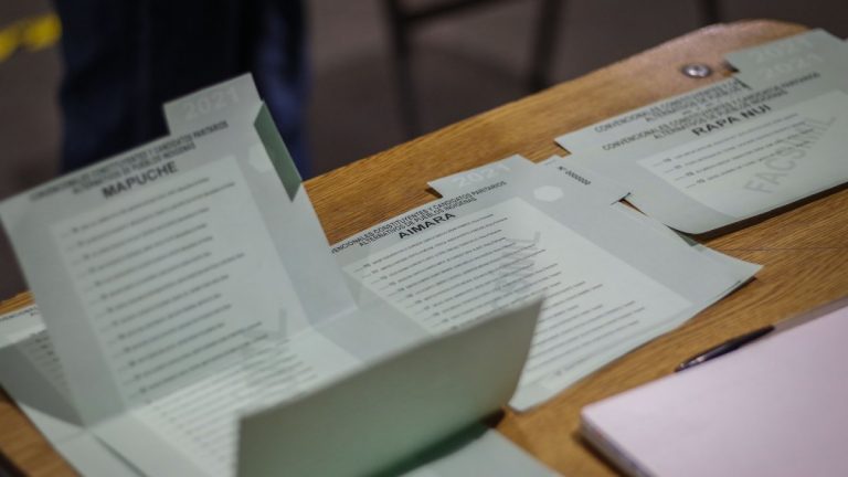 Voto Indigerna Karla Rubilar