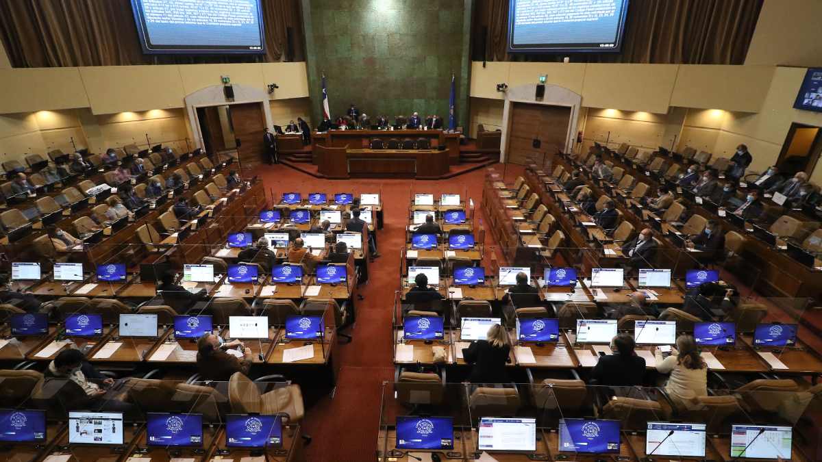 Cámara De Diputados Ley De Garantías Sobre La Niñez 2