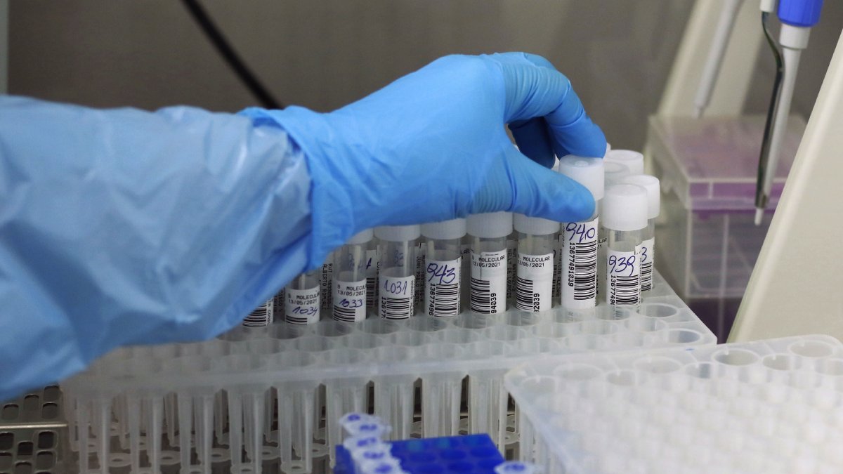 Covid 19 Variante Delta