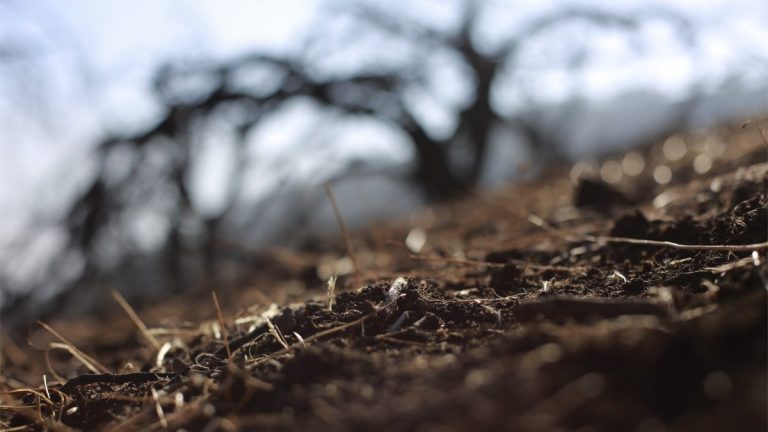 Carolina Schmidt, Ministra De Medio Ambiente.