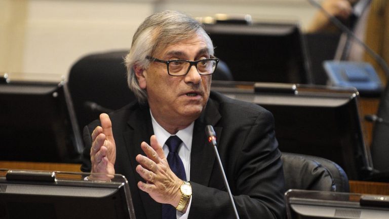 Manuel Marfán, Economista