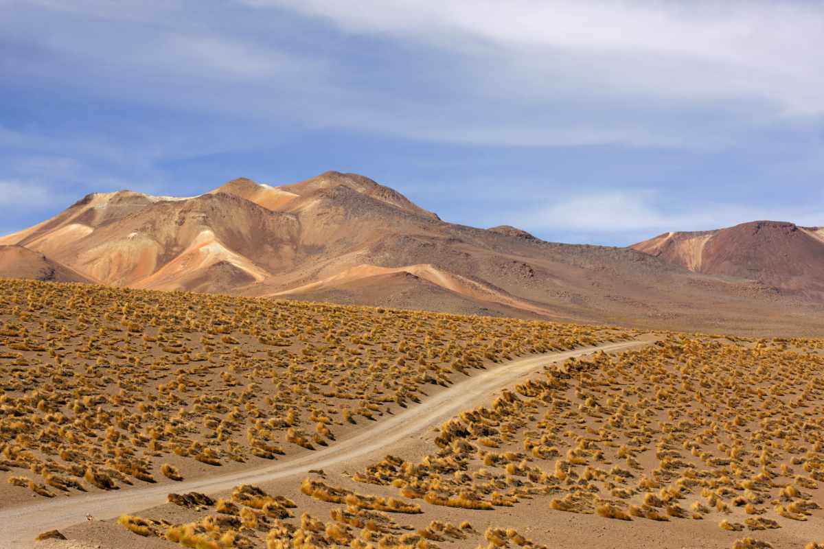 Desierto De Atacama