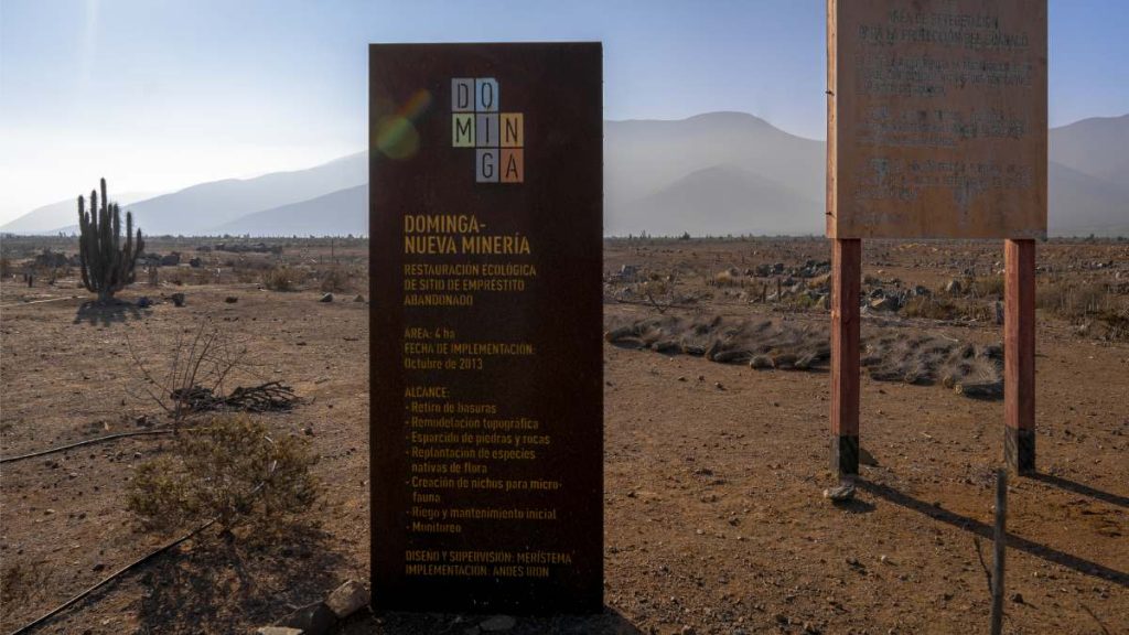 Marcelo Mena Medioambiente Dominga