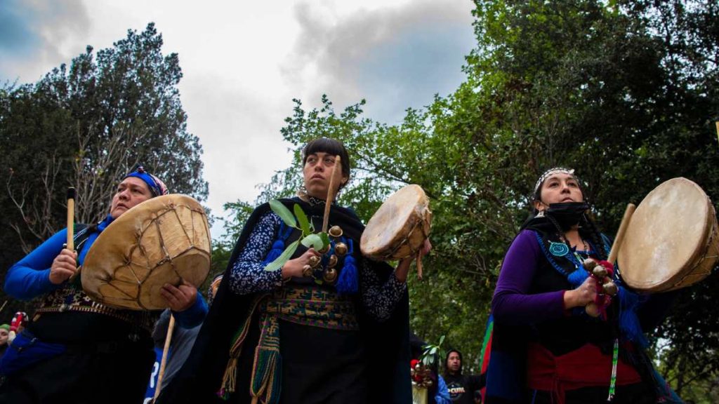 Martín Correa Mapuche