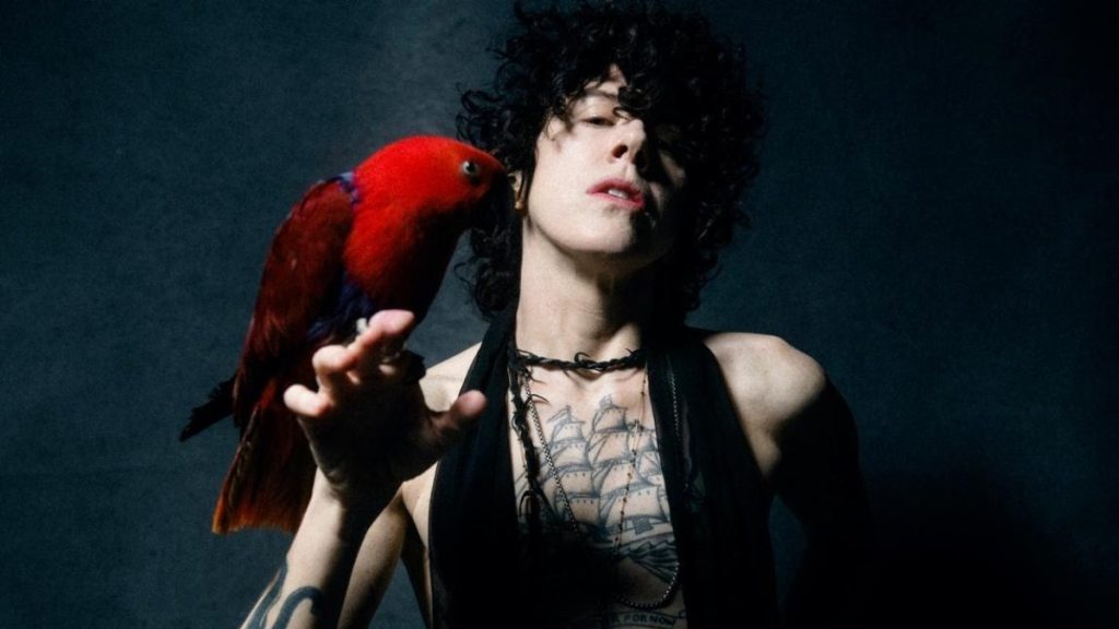 LP Los Siete Elegidos