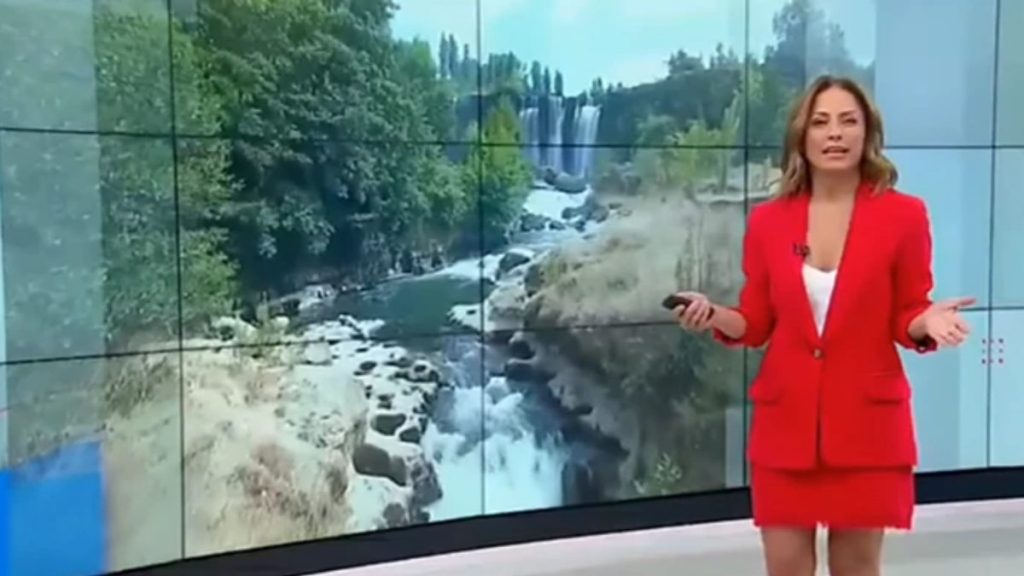 Constanza Santa María(1)