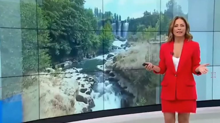 Constanza Santa María(1)