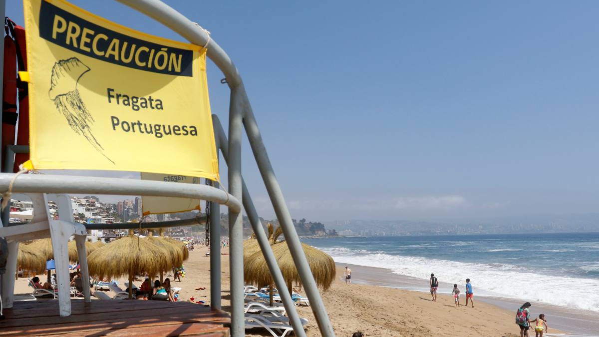 Fragata Portuguesa 2