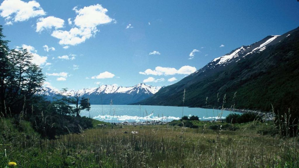 Patagonia Chilena WWF