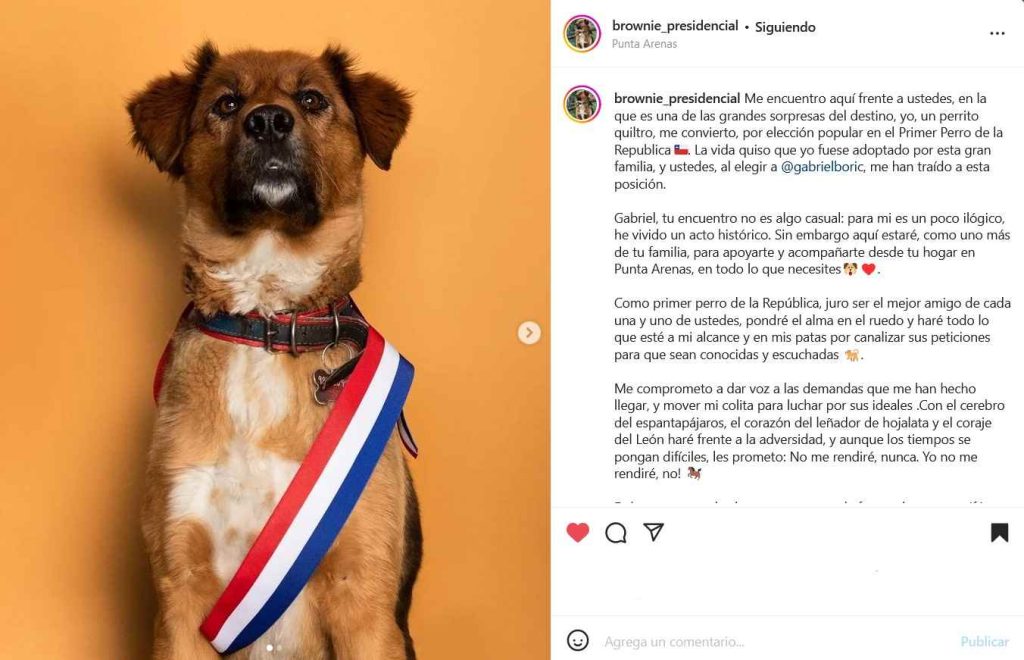 Brownie Presidencial