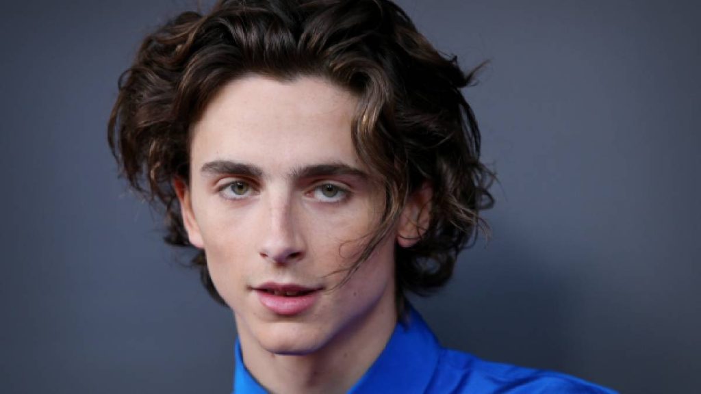 Timothee Chalamet