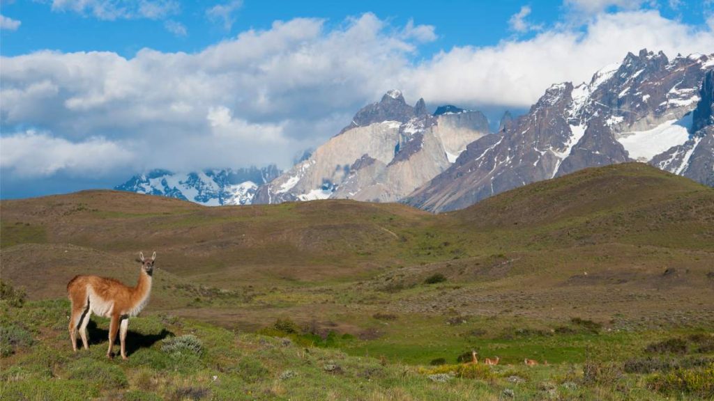 Patagonia Chilena