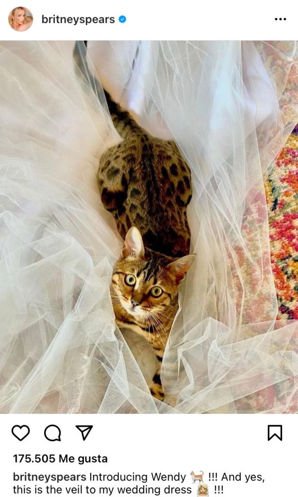 WhatsApp Image 2022 05 09 At 3.27.01 PM