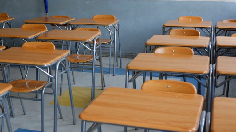 Vacaciones De Invierno