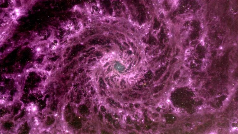 James Webb Galaxia Del Abanico